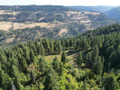 /international/us/750-mountain-top-drive-orofino-id-110100987253/