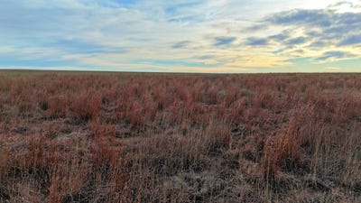 /international/us/tbd-county-road-22-haswell-co-110104031889/