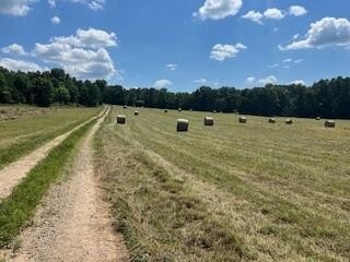 /international/us/14953-county-road-615-birch-tree-mo-110098486374/