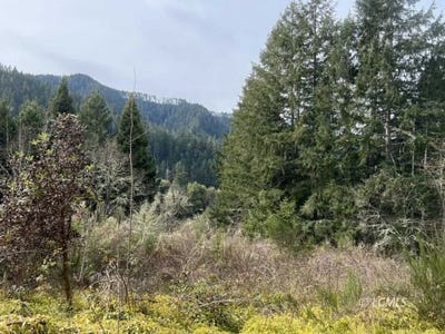 /international/us/hwy-138-west-oakland-or-110099965403/?lang=en