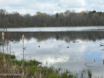 /international/us/23-acres-barnes-road-florence-ms-110106144556/
