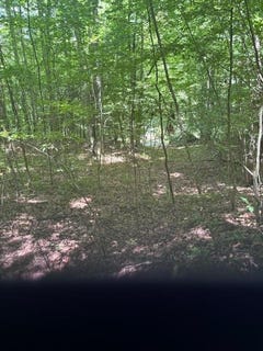 /international/us/macs-mountain-retreat-lane-franklin-nc-110101151338/?lang=zh-tw