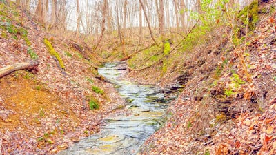 /international/us/0-turkey-ridge-road-south-salem-oh-110106978315/