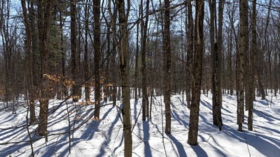 /international/us/00-florence-hill-rd-florence-ny-110106215920/