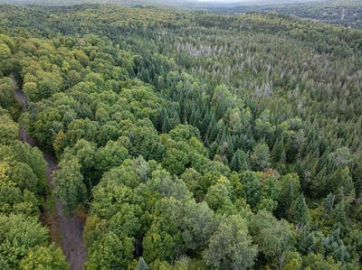 /international/us/wood-yard-crossing-lot-5-pittsburg-nh-110120485250/