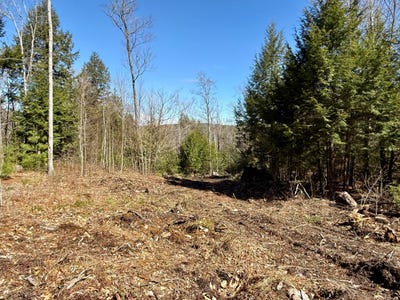 /international/us/map8lot53b-buckfield-road-paris-me-110107713185/