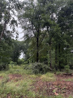 /international/us/merle-drive-spartanburg-sc-110108266461/