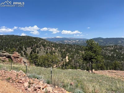 /international/us/160-chateau-w-drive-florissant-co-110100064515/