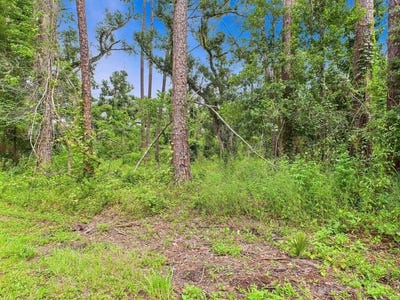 /international/us/n-veterans-drive-perry-fl-110100758550/?lang=zh-cn