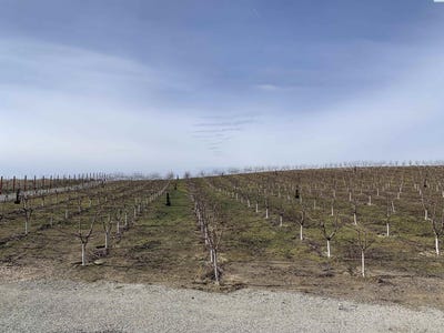 /international/us/630-moore-rd-pasco-wa-110106118711/