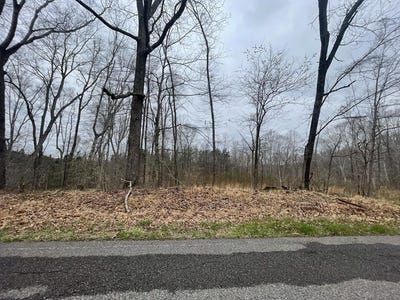 /international/us/1-forest-trail-bumpus-mills-tn-110107546786/