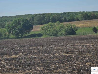 /international/us/2937-pyrmont-road-stover-mo-110107965786/