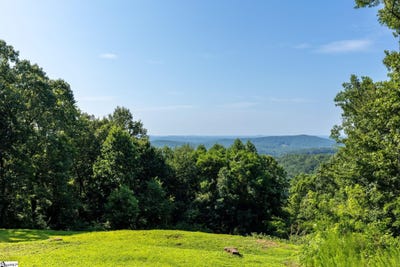 /international/us/old-chapman-trail-pickens-sc-110100746218/