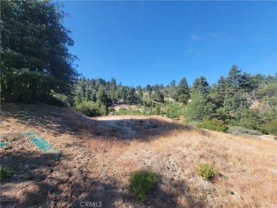 /international/us/33345-angeles-green-valley-lake-ca-110109598851/