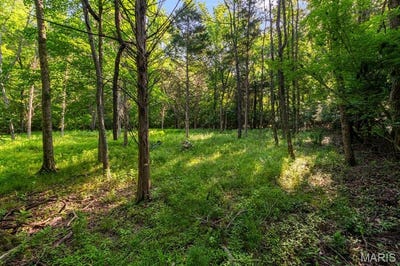 /international/us/3701-bear-tooth-lane-wildwood-mo-110120550394/