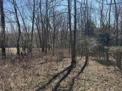 /international/us/1-landings-court-willisburg-ky-110107830637/