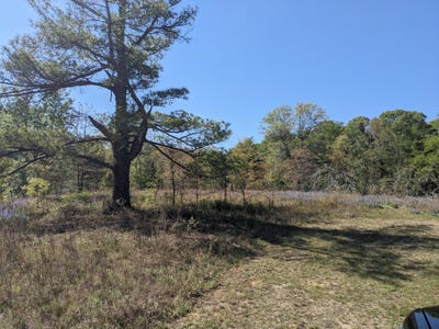 /international/us/4781-deans-bridge-road-blythe-ga-110108446803/