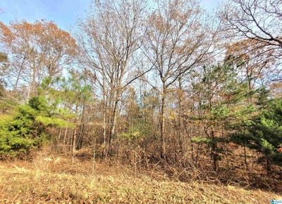 /international/us/rolling-hills-lane-lot-1-munford-al-110107896278/