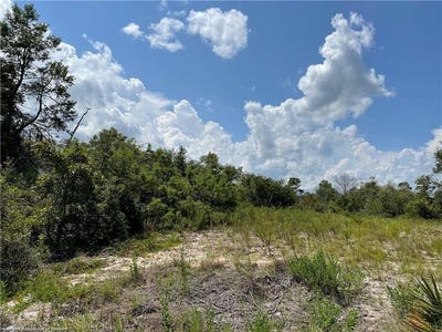 /international/us/456-rose-lane-lake-placid-fl-110101001846/