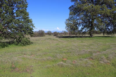 /international/us/lot-54-arlington-park-place-cottonwood-ca-110096833345/