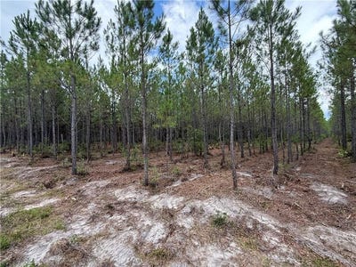 /international/us/0-lot-2-corbitt-road-manor-ga-110101195862/