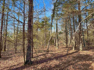 /international/us/181-old-springfield-road-quitman-ar-110100319178/