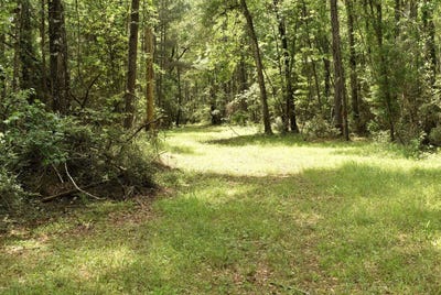 /international/us/tbd-hepzibah-rd-clinton-la-110107985657/