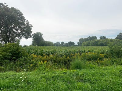 /international/us/11555-78th-avenue-allendale-mi-110120530633/