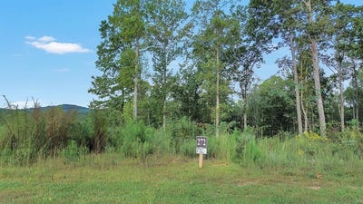 /international/us/272-highgrove-drive-talking-rock-ga-110102578922/