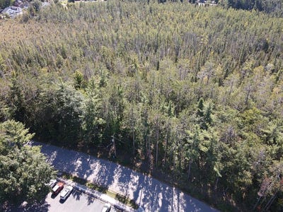 /international/us/v-l-chippewa-beach-road-indian-river-mi-110119994870/