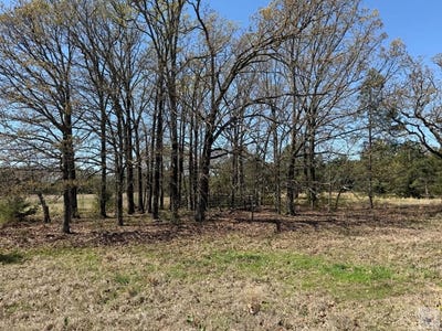 /international/us/county-road-4310-avery-tx-110106677190/