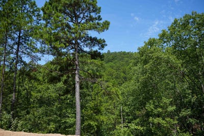 /international/us/lot-17b-phase-2-timber-ridge-estates-tuskahoma-ok-110102299153/