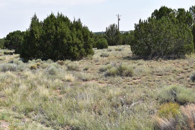 /international/us/30-dawn-lane-concho-az-110090693039/