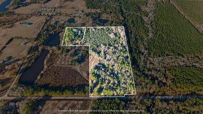 /international/us/savannah-millard-rd-poplarville-ms-110104489337/