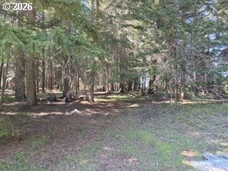 /international/us/1251-canyon-rd-appleton-wa-110107873842/