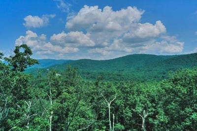 /international/us/tbd-laurel-ridge-ln-lyndhurst-va-110101171782/?lang=zh-cn