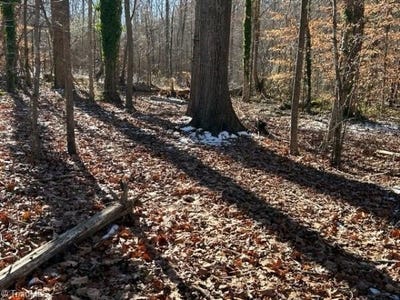 /international/us/7209-prentiss-road-greensboro-nc-110096747239/