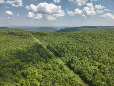 /international/us/782-santee-lane-dushore-pa-110109042075/