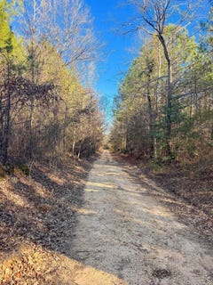 /international/us/norsworthy-road-strong-ar-110107200828/