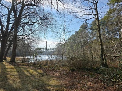/international/us/bayside-rd-lot-1-greenbush-va-110105641398/