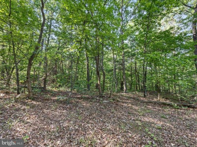 /international/us/mountain-laurel-dr-mount-jackson-va-110099645479/?lang=zh-tw