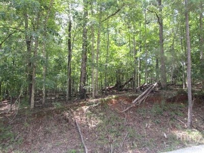 /international/us/lot-74-bramlett-drive-elberton-ga-110101490928/?lang=zh-cn