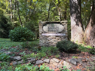 /international/us/14-fern-trail-waynesville-nc-110120067042/