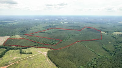 /international/us/pineywood-road-saluda-sc-110108550343/