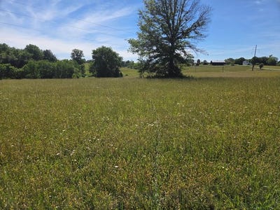 /international/us/elizaville-road-flemingsburg-ky-110108448967/