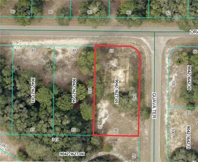 /international/us/11745-orange-road-ocklawaha-fl-110104271385/