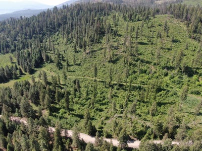 /international/us/lot-4-matsen-creek-rd-kettle-falls-wa-110093364646/