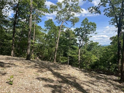 /international/us/nc-2909-marble-falls-ar-110099063330/