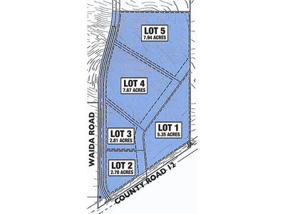 /international/us/tbd-lot-1-county-road-12-wilson-twp-mn-110098987301/
