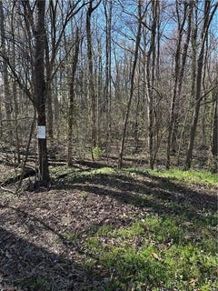 /international/us/2110-meadowbrook-terrace-reidsville-nc-110107308577/
